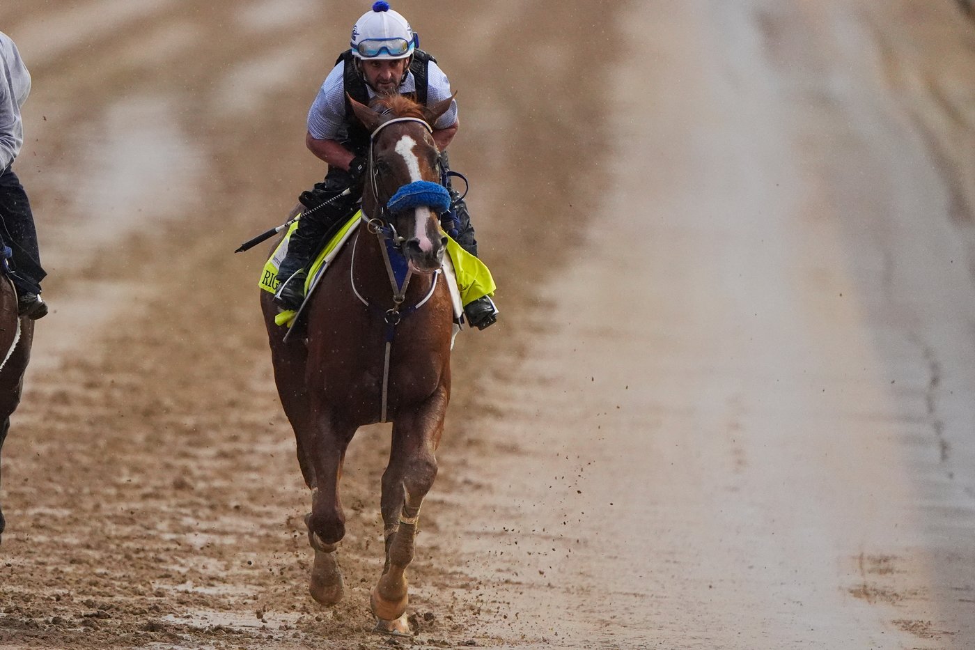Robusta is in the Kentucky Derby field, giving Cristian Torres the chance to ride | iNFOnews.ca