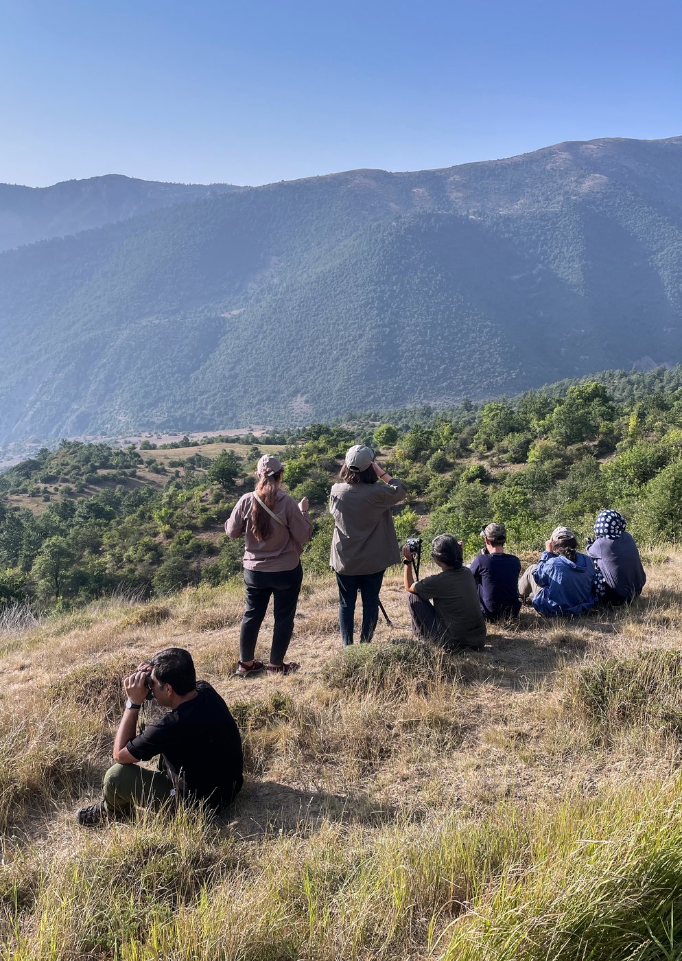 War and economic crisis complicate efforts to protect Iran’s rich but endangered wildlife | iNFOnews.ca War and economic crisis complicate efforts to protect Iran’s rich but endangered wildlife | iNFOnews.ca