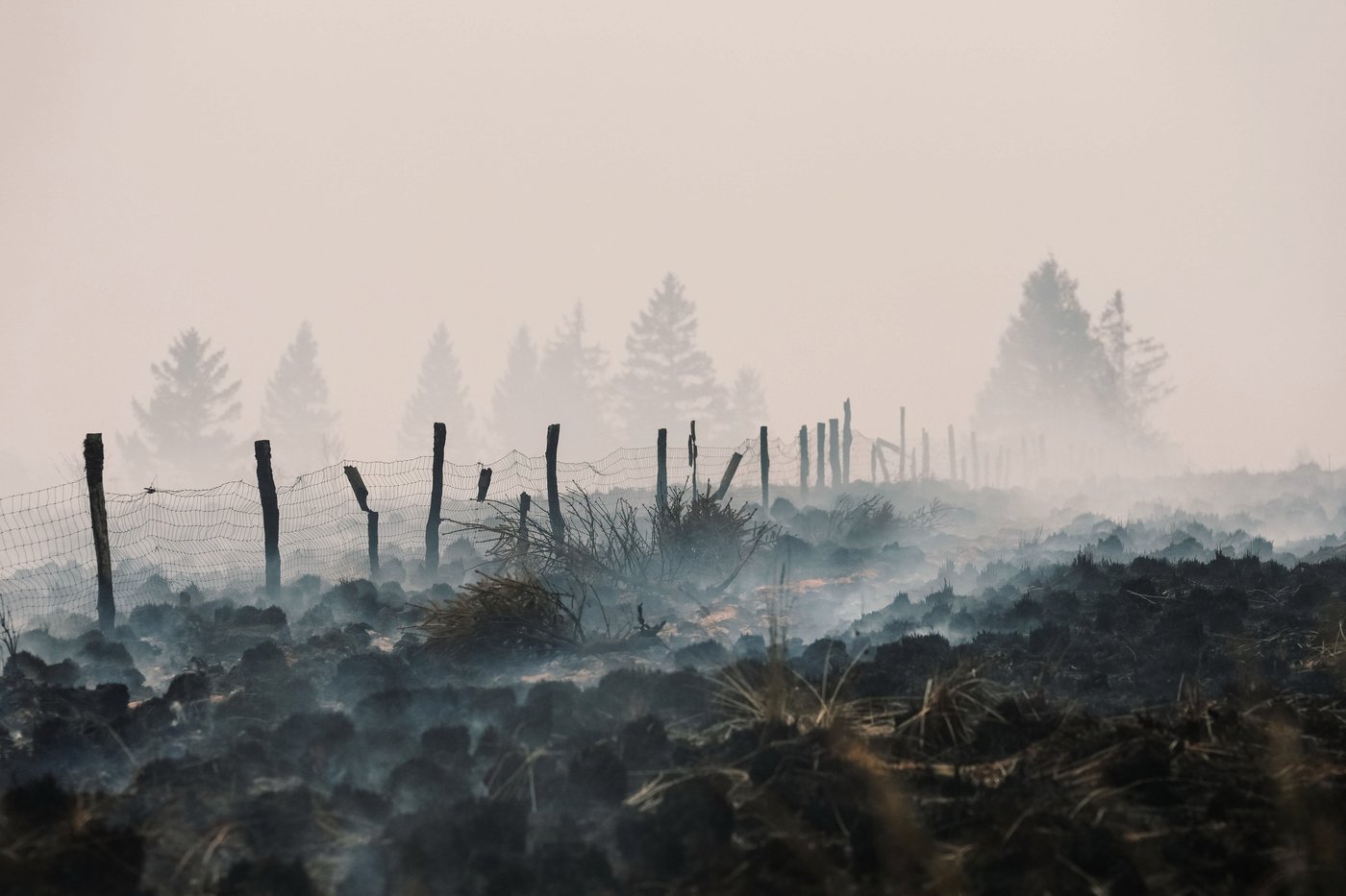 Wildfires expose - and detonate - buried bombs and mines from WWI and WWII | iNFOnews.ca