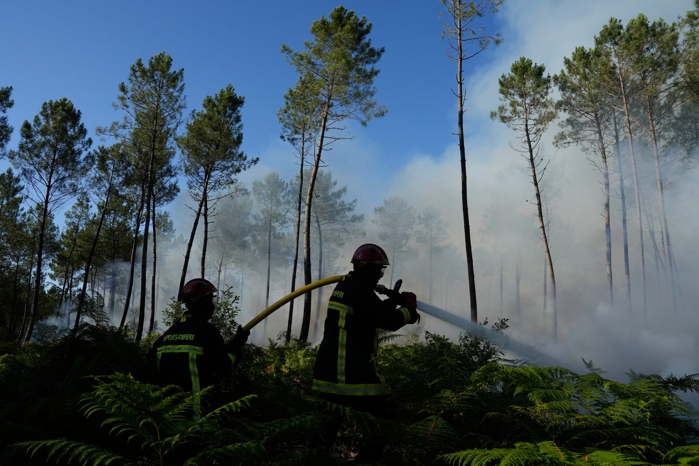France evacuates 4,000 people as heat threatens wildfire fight across southwestern Europe | iNFOnews.ca