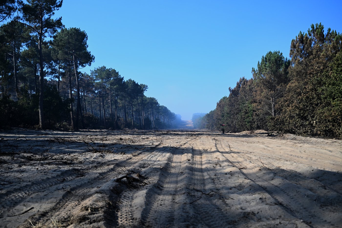 France evacuates 4,000 people as heat threatens wildfire fight across southwestern Europe | iNFOnews.ca