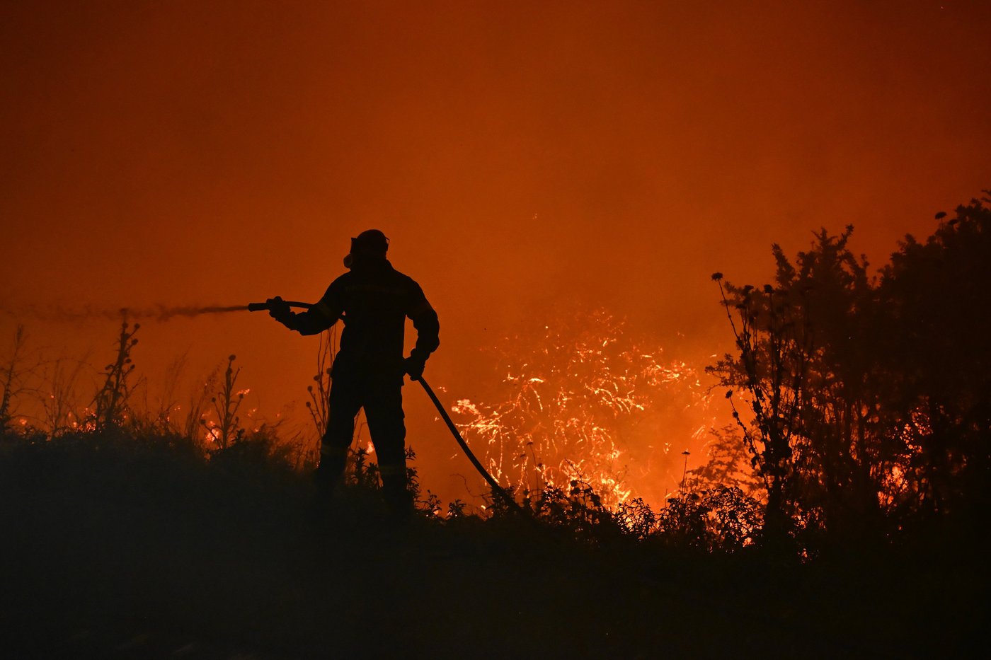 Wildfires across Europe have killed hundreds over the last decade | iNFOnews.ca