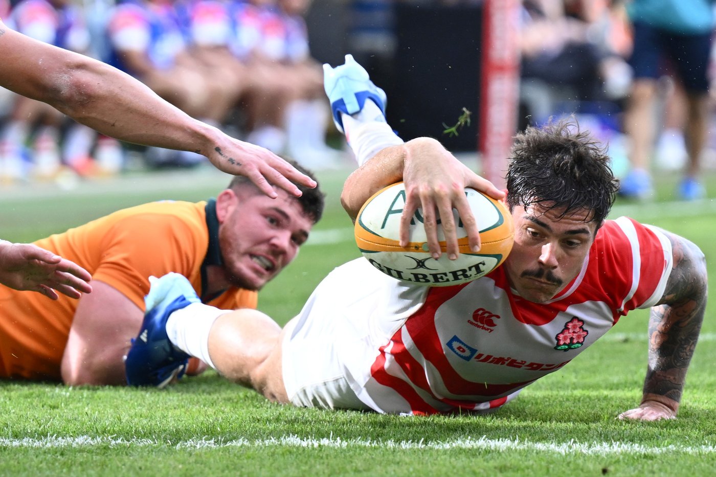 De Lutiis marks 1,000th Wallabies cap with a try as Australia routs Japan 56-17 | iNFOnews.ca