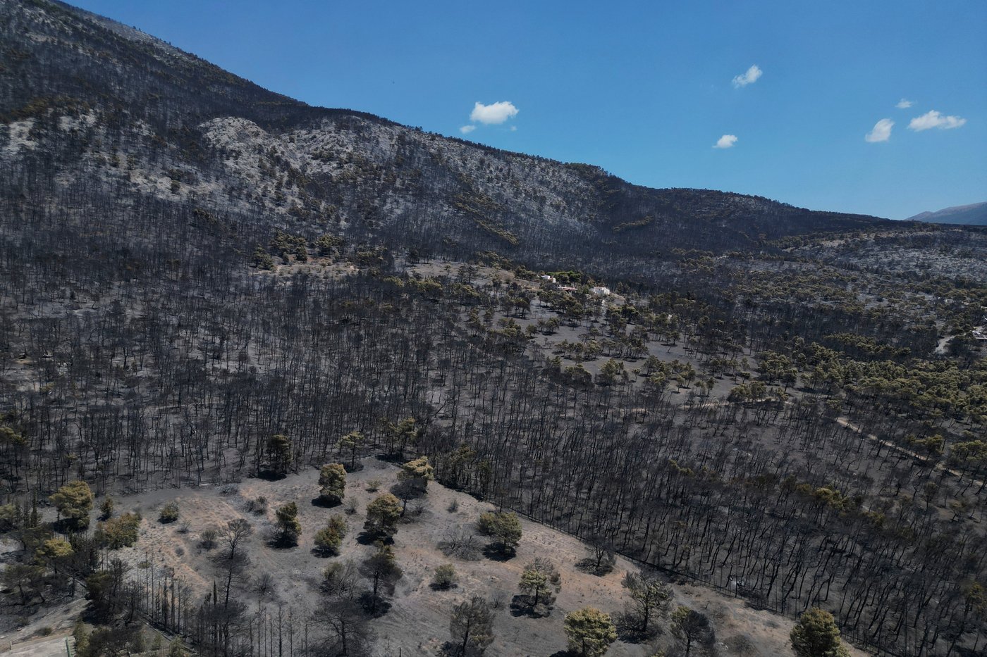 Firefighters scramble to contain fires outside Athens before winds and high temperatures return | iNwheels Firefighters scramble to contain fires outside Athens before winds and high temperatures return | iNwheels