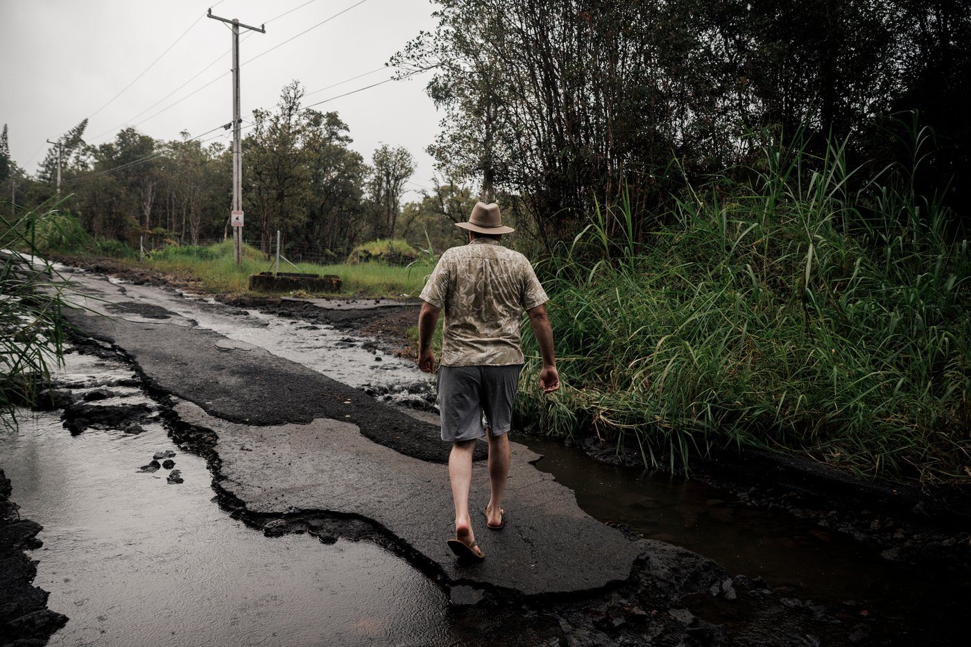 Thousands without power after Tropical Storm Lala uproots trees in Hawaii | iNwheels