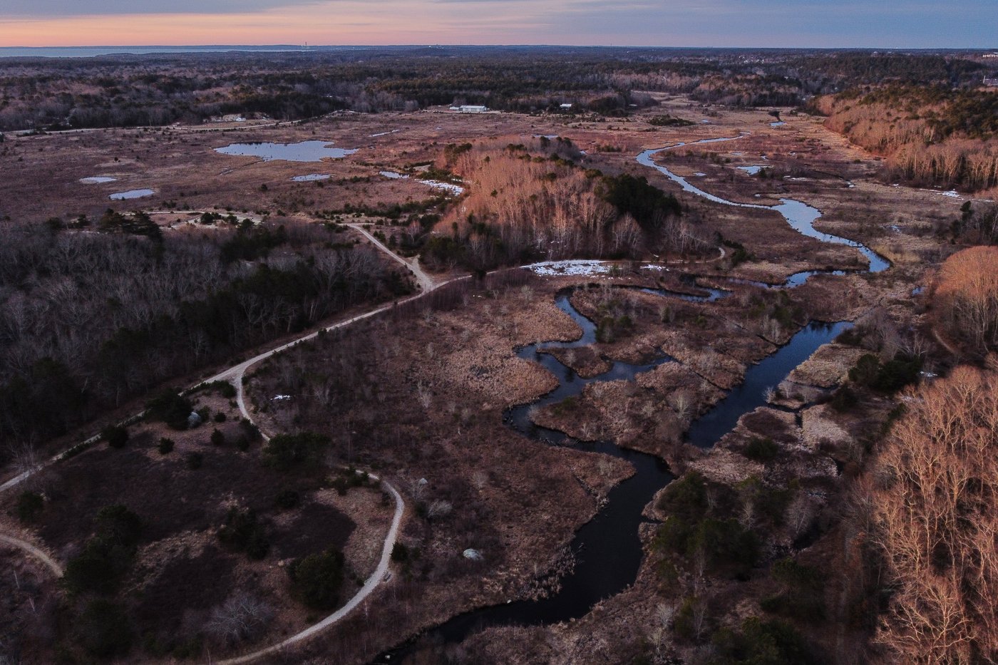 How a retired cranberry bog helped change the game for wetland restoration | iNFOnews.ca