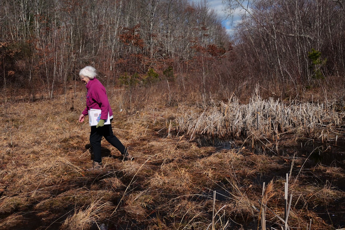How a retired cranberry bog helped change the game for wetland restoration | iNFOnews.ca