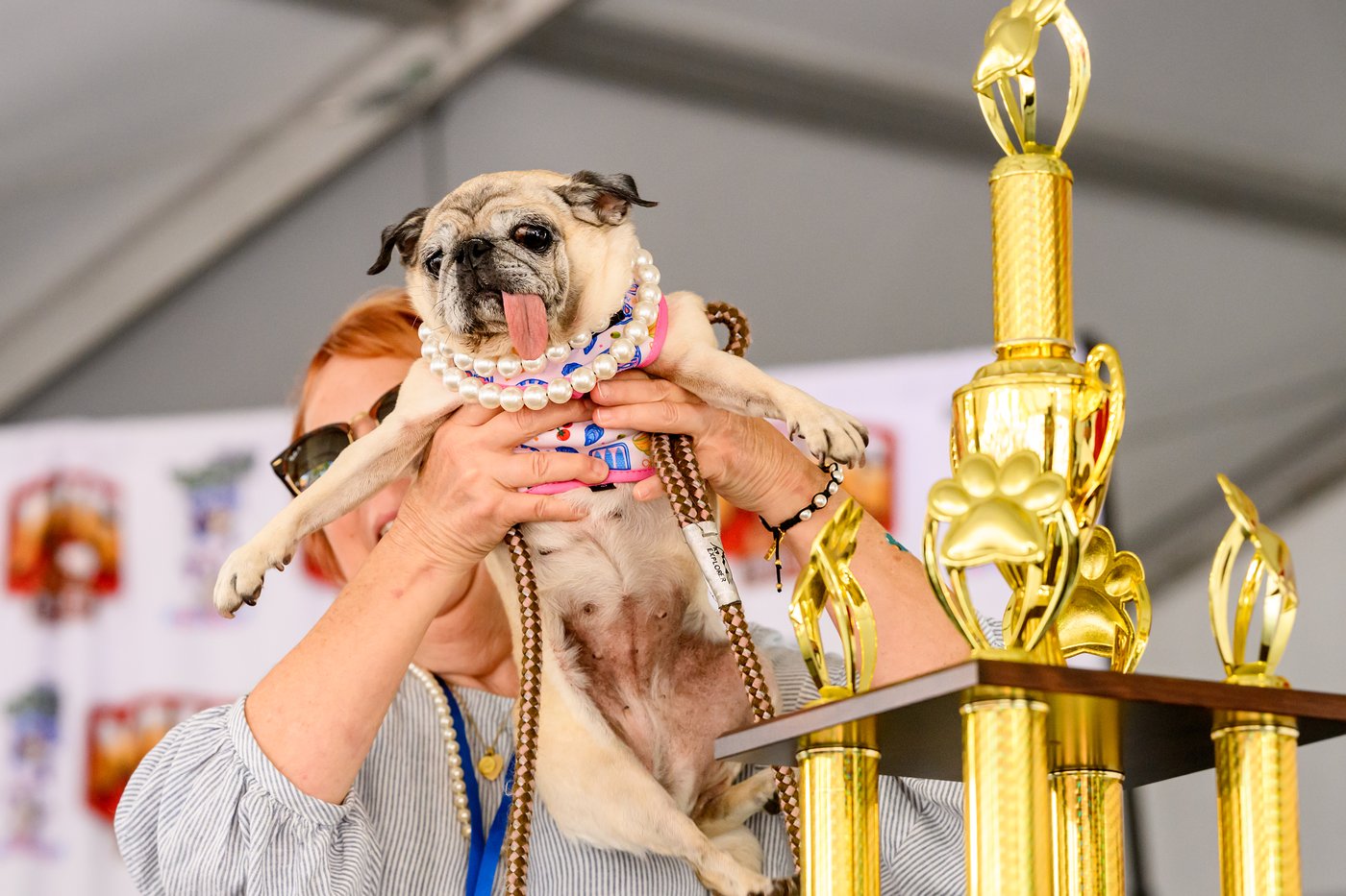 Photos show the World’s Ugliest Dog Contest in California | iNFOnews.ca