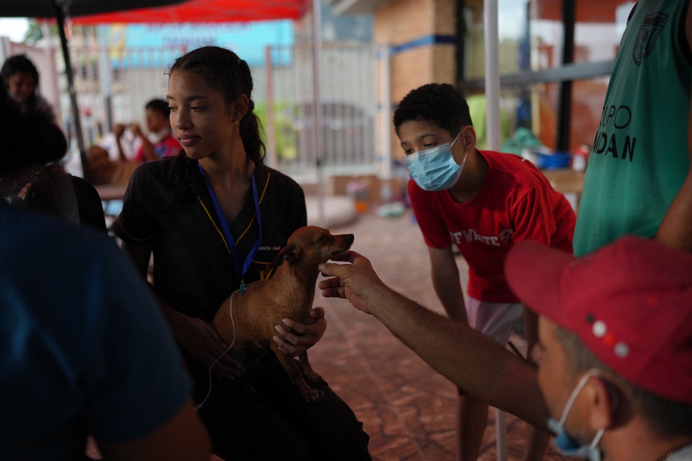 Venezuelan earthquake survivors search for missing pets in an unexpected place: McDonald's | iNFOnews.ca