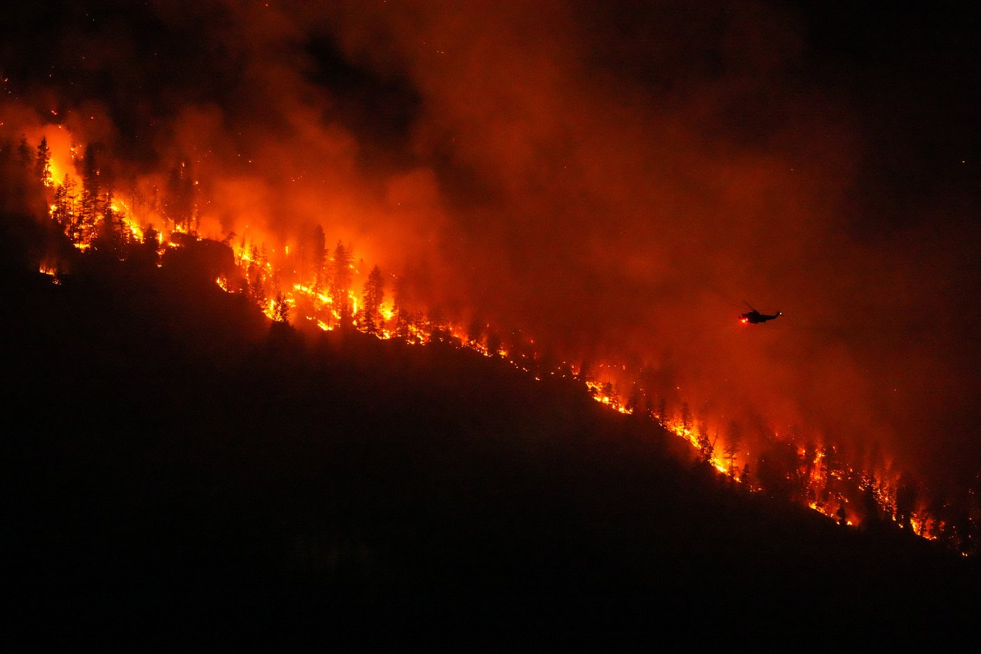 Fallen trees, bears are risks for B.C. wildfire evacuees returning home: officials | iNwheels Fallen trees, bears are risks for B.C. wildfire evacuees returning home: officials | iNwheels