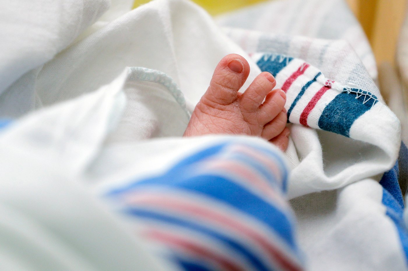 Asian surnames have been the fastest-growing in the US, according to Census Bureau report | iNFOnews.ca