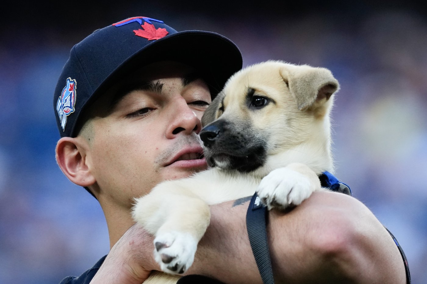 Photo Gallery: The week in sports photos | iNFOnews.ca