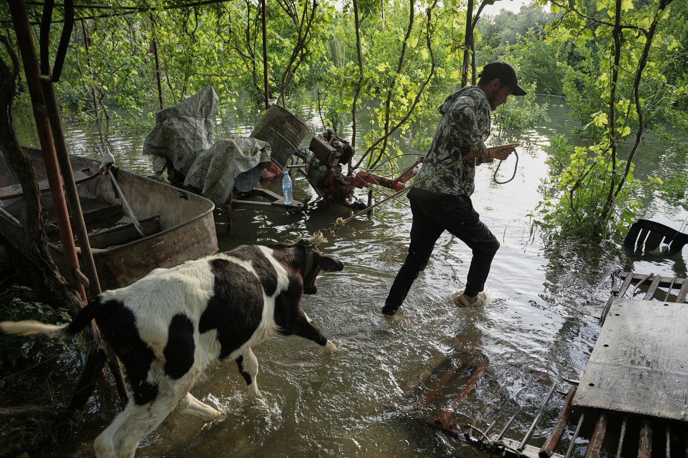 Photos of rare Euphrates River floods in Syria | iNFOnews.ca