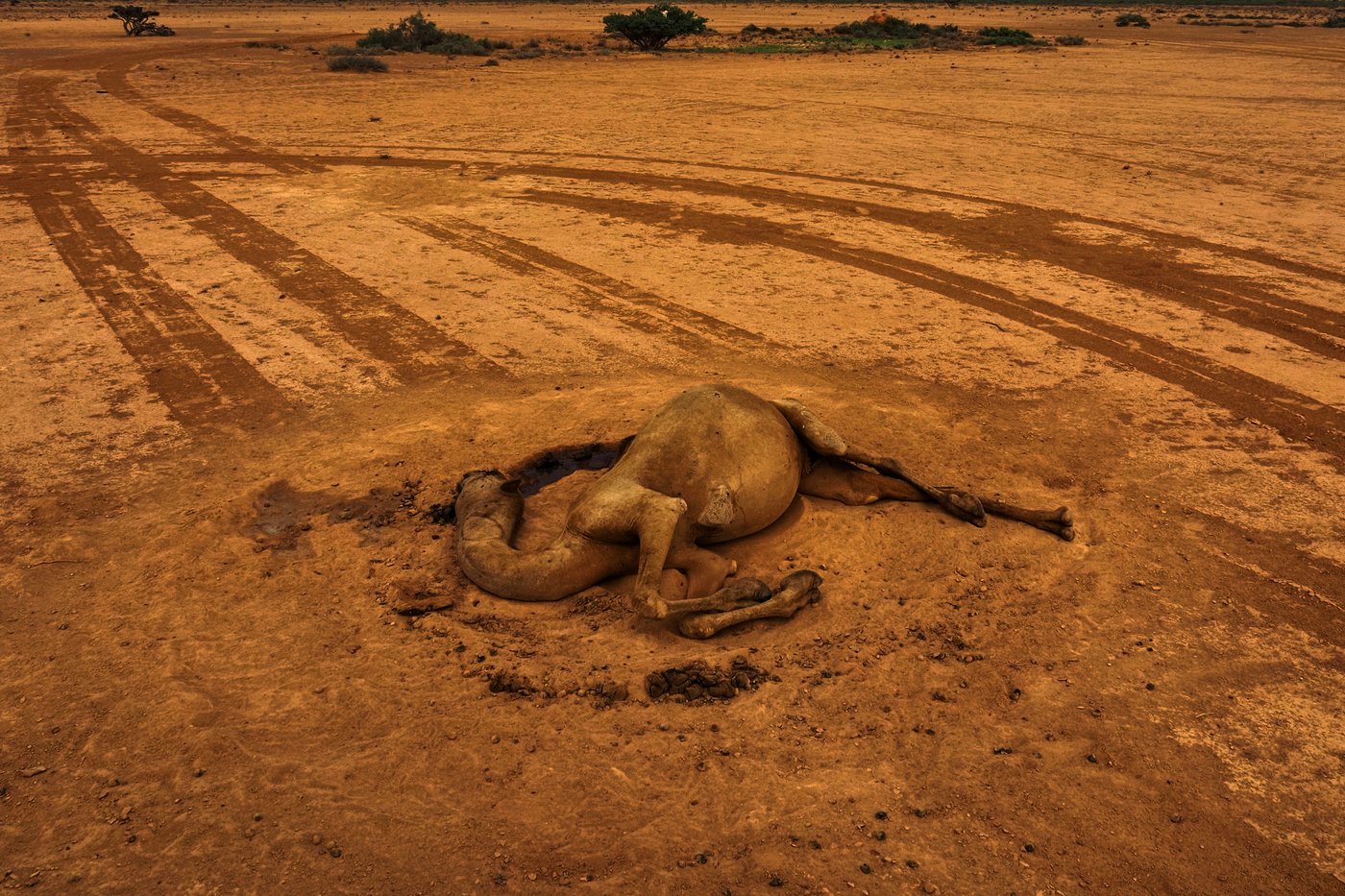 Somalia is in a deadly drought again. Most humanitarian aid isn't there this time | iNFOnews.ca