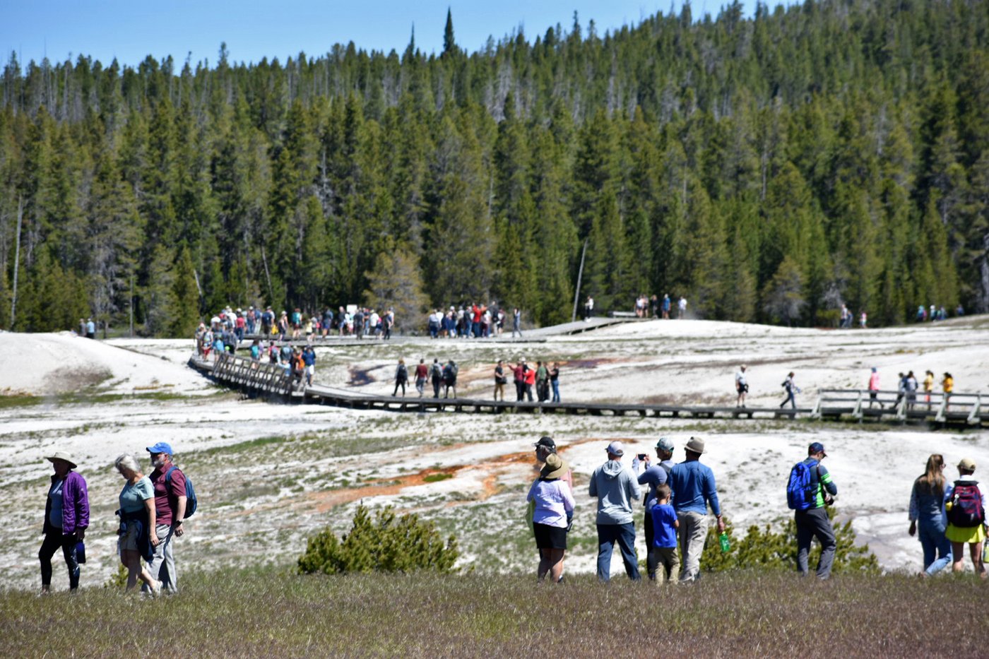 National park maintenance work sidelined as Trump's Freedom 250 takes precedence | iNFOnews.ca National park maintenance work sidelined as Trump's Freedom 250 takes precedence | iNFOnews.ca