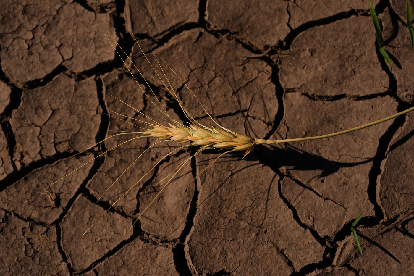 El Nino powers up as forecasters predict historic strength and a rainier winter for the US South | iNFOnews.ca