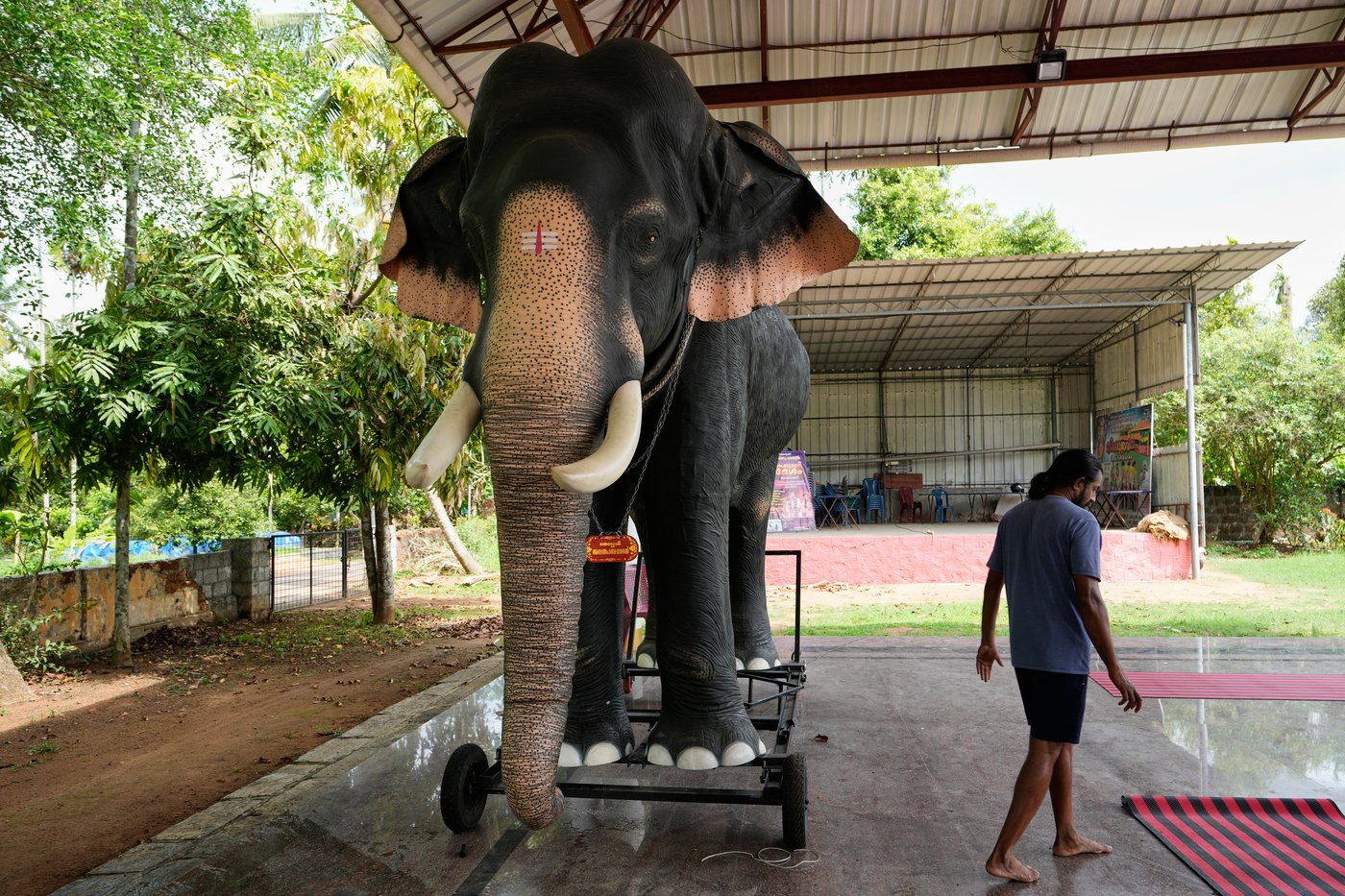 Robotic elephants are replacing live ones at Kerala temple festivals, in photos | iNFOnews.ca