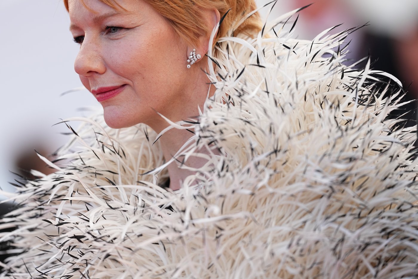 Photo highlights from Cannes 2026 | iNFOnews.ca