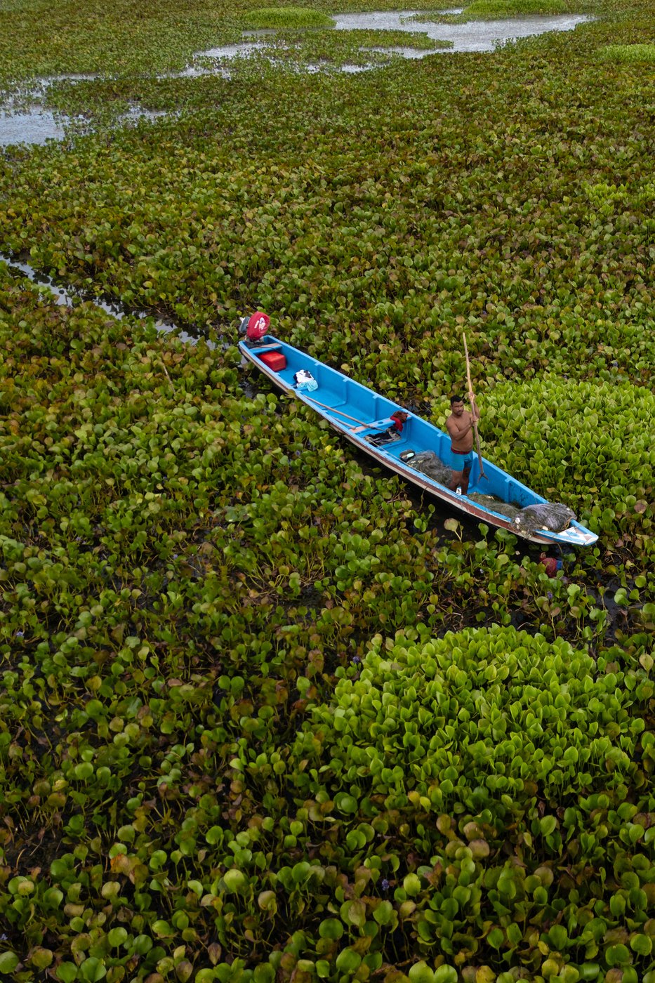 See the world in vertical: Top photos by AP photojournalists | iNFOnews.ca