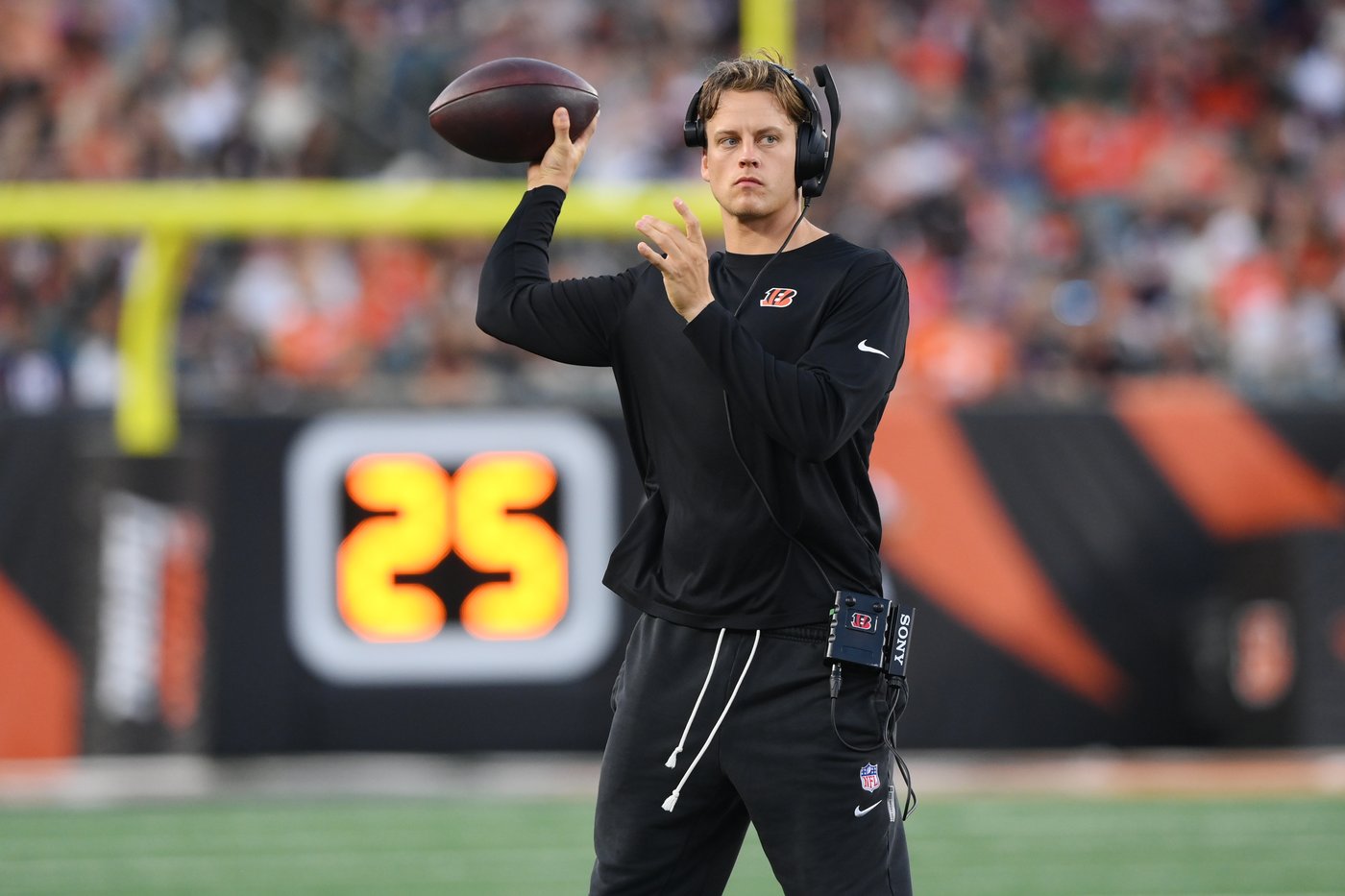 40-year-old journeyman QB Josh Johnson leads Bengals to 27-9 preseason victory over Bears | iNFOnews.ca 40-year-old journeyman QB Josh Johnson leads Bengals to 27-9 preseason victory over Bears | iNFOnews.ca