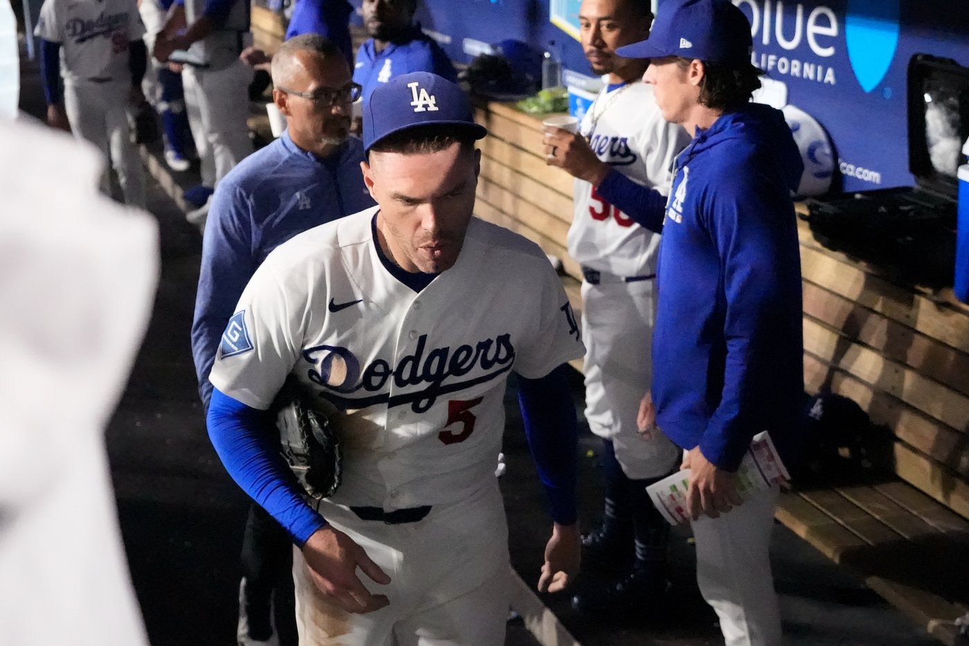 Dodgers' Freddie Freeman somehow avoids serious injury in frightening fall into visitors' dugout | iNFOnews.ca Dodgers' Freddie Freeman somehow avoids serious injury in frightening fall into visitors' dugout | iNFOnews.ca