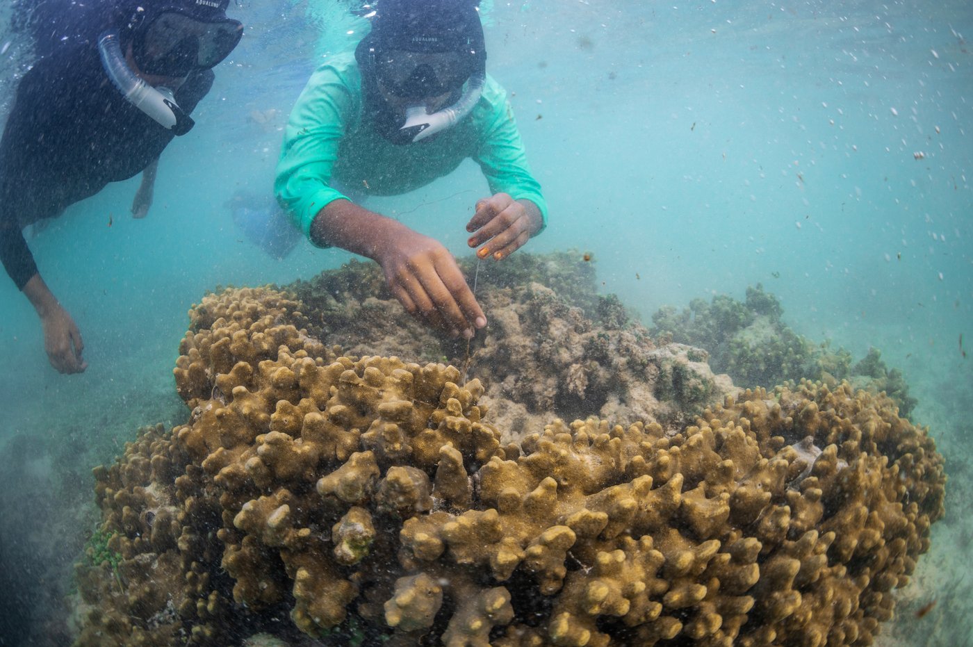 Young activists in the Maldives confront climate threats to their island nation | iNFOnews.ca