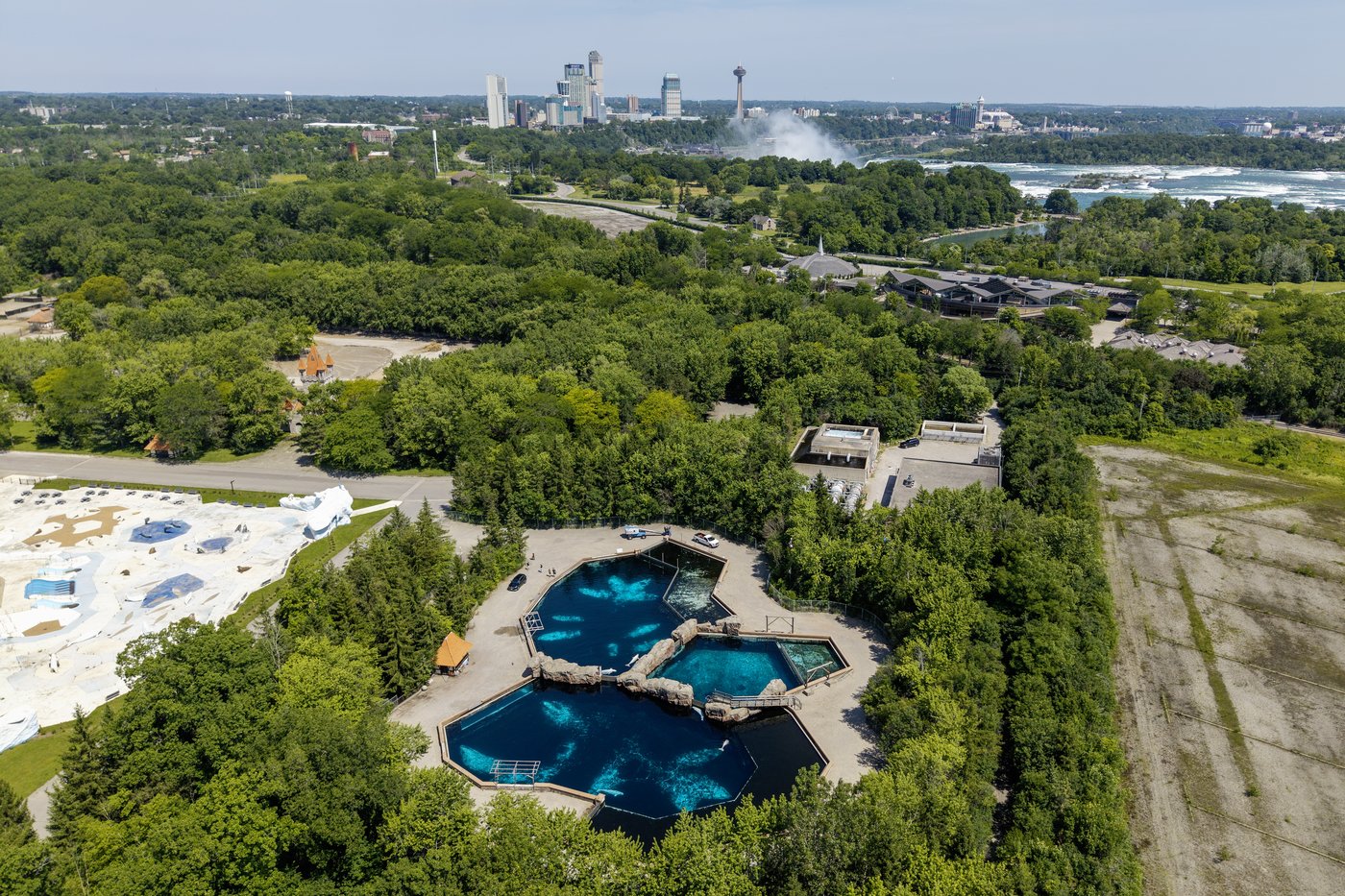 Everyone loved Marineland - then the tide turned. A look inside the park's final days | iNFOnews.ca