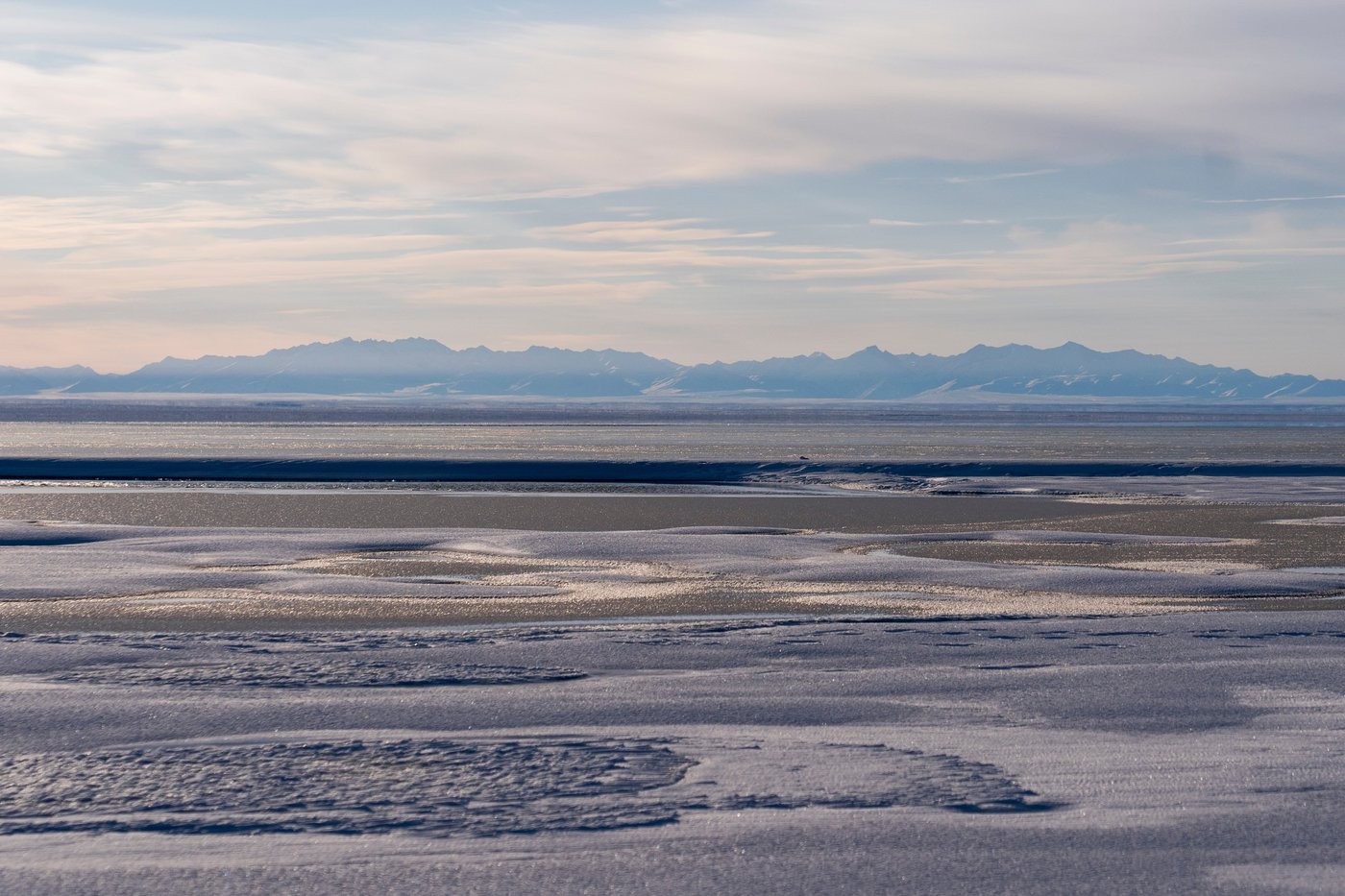 A lush knee-high jungle grows in the Arctic, but warming is changing Earth's mini-greenhouse | iNFOnews.ca A lush knee-high jungle grows in the Arctic, but warming is changing Earth's mini-greenhouse | iNFOnews.ca