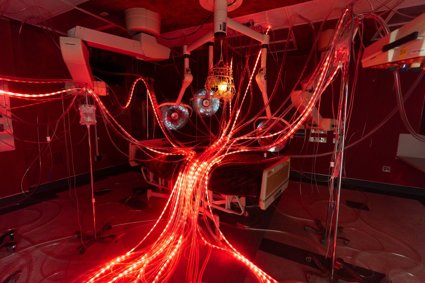 Former LA hospital hosts immersive art show, in photos | iNFOnews.ca