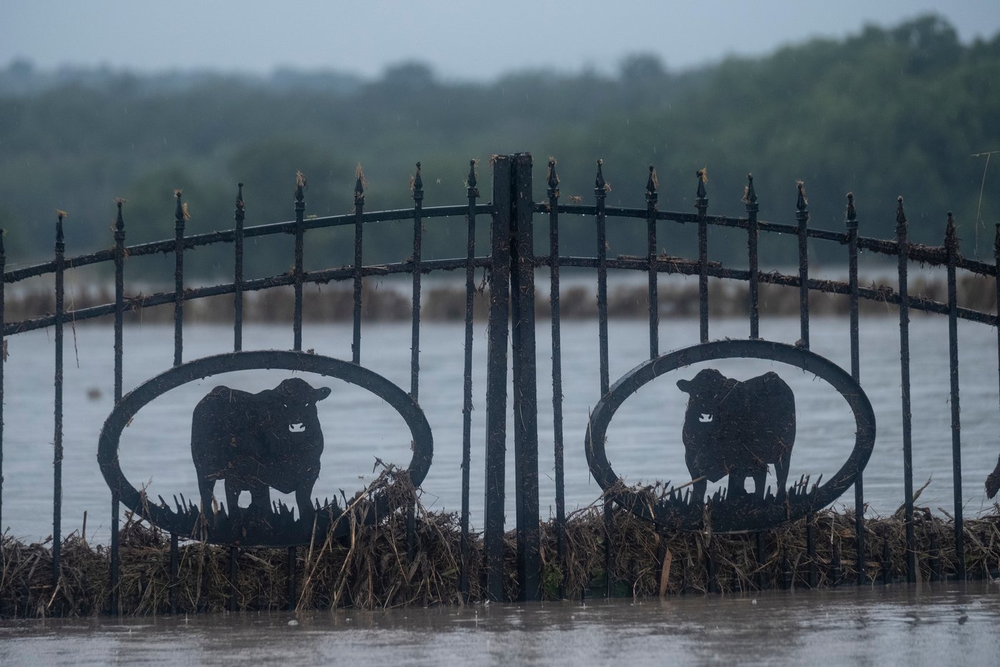 The top photos of the day by AP photojournalists | iNFOnews.ca
