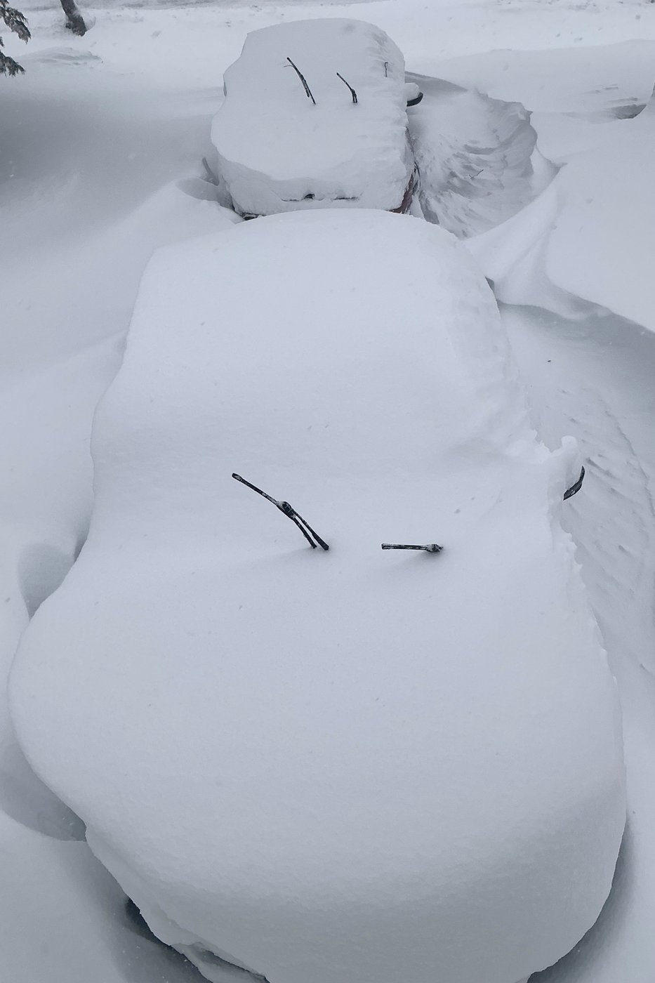 See the world in vertical: Top photos by AP photojournalists | iNFOnews.ca