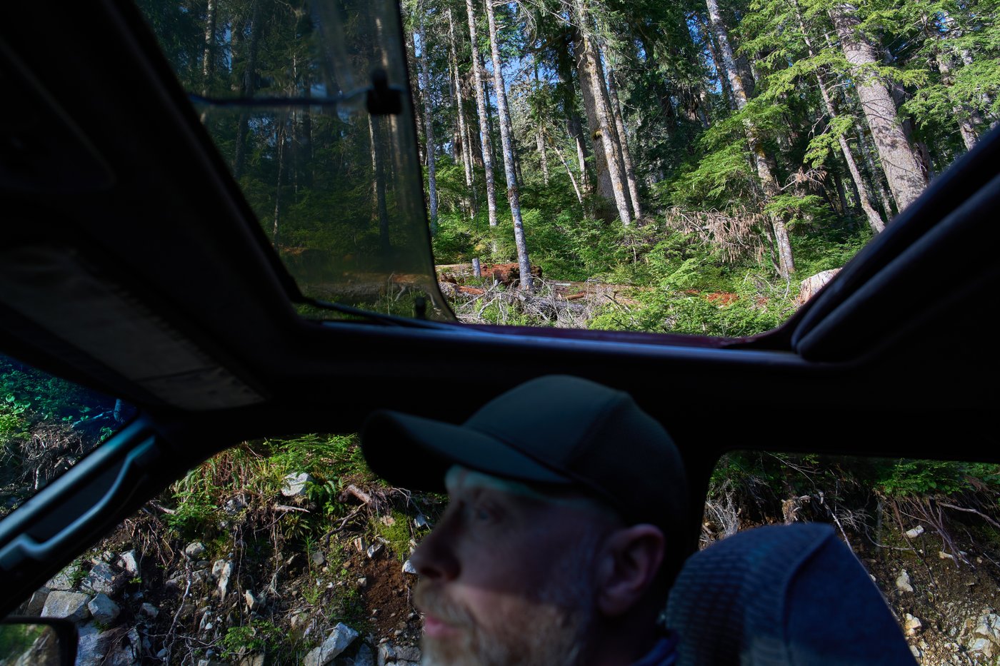 British Columbia is logging its last old growth. Protesters are sleeping in the road to stop it | iNFOnews.ca British Columbia is logging its last old growth. Protesters are sleeping in the road to stop it | iNFOnews.ca
