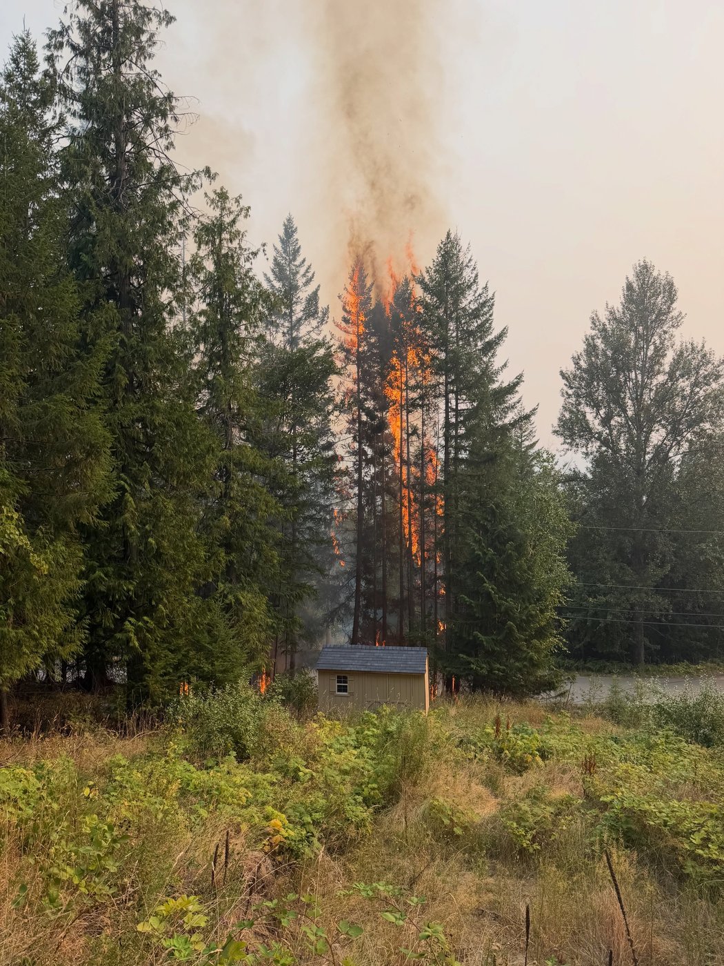 B.C. police launch wildfire arson investigations, as blazes raise trauma in Shuswap | iNFOnews.ca B.C. police launch wildfire arson investigations, as blazes raise trauma in Shuswap | iNFOnews.ca