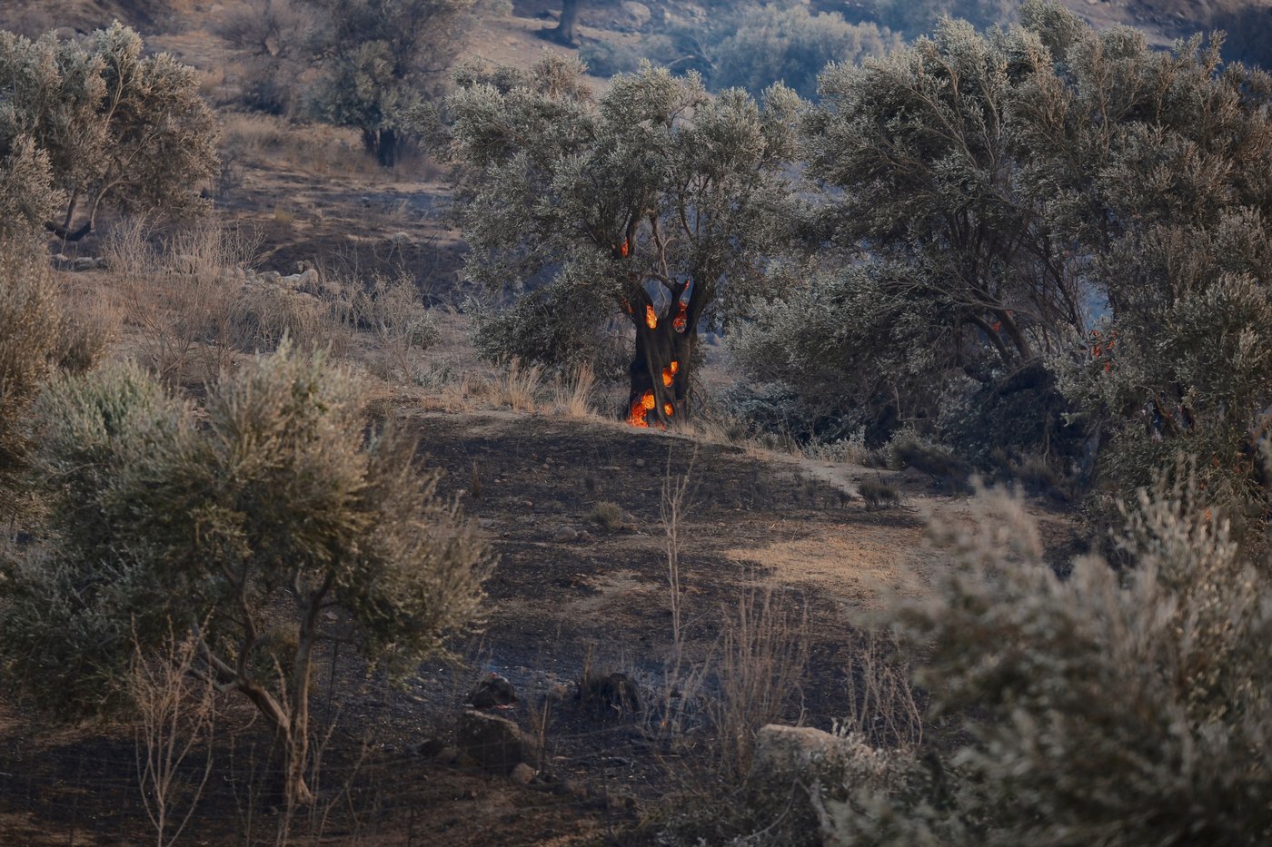 As France tames wildfire and lets 84,000 evacuees go home, blazes flare across Europe | iNFOnews.ca As France tames wildfire and lets 84,000 evacuees go home, blazes flare across Europe | iNFOnews.ca