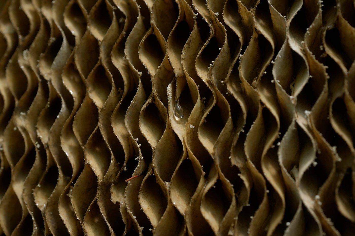 Pulling from ancient cooling principles, the 'swamp cooler' remains important today | iNFOnews.ca Pulling from ancient cooling principles, the 'swamp cooler' remains important today | iNFOnews.ca