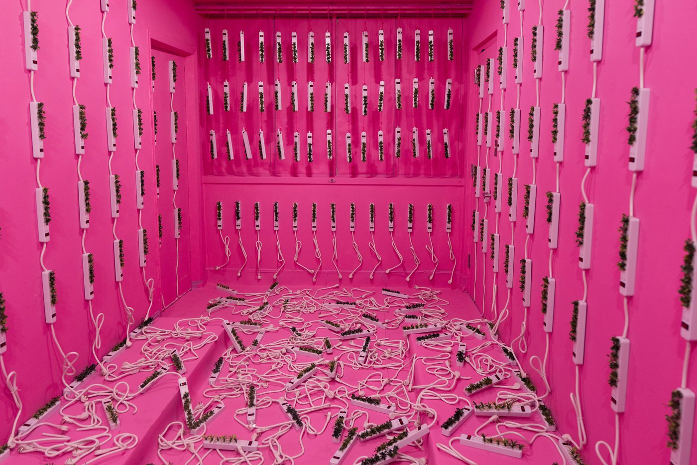 Former LA hospital hosts immersive art show, in photos | iNFOnews.ca