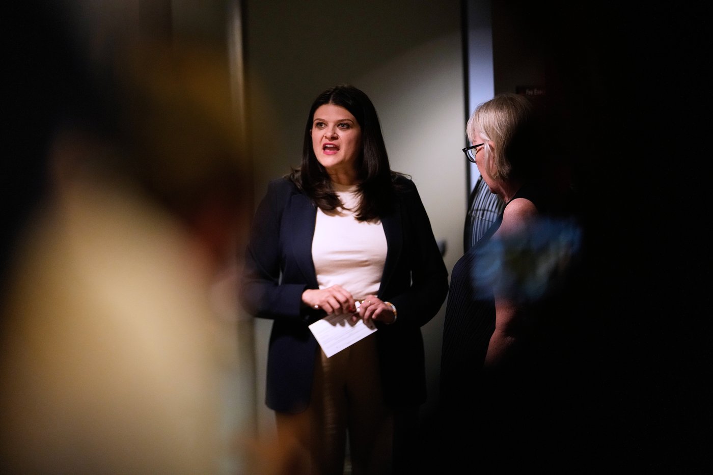 Michigan Democrats choose between two visions for their party with Senate seat on the line, in photos | iNFOnews.ca