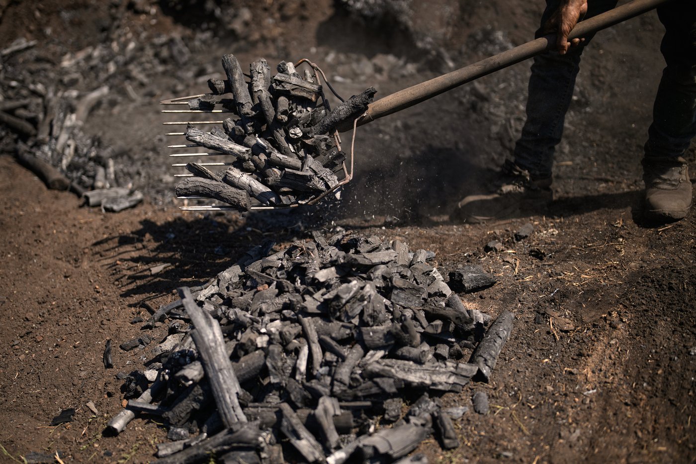 Father and sons keep a traditional charcoal craft alive, in photos | iNFOnews.ca