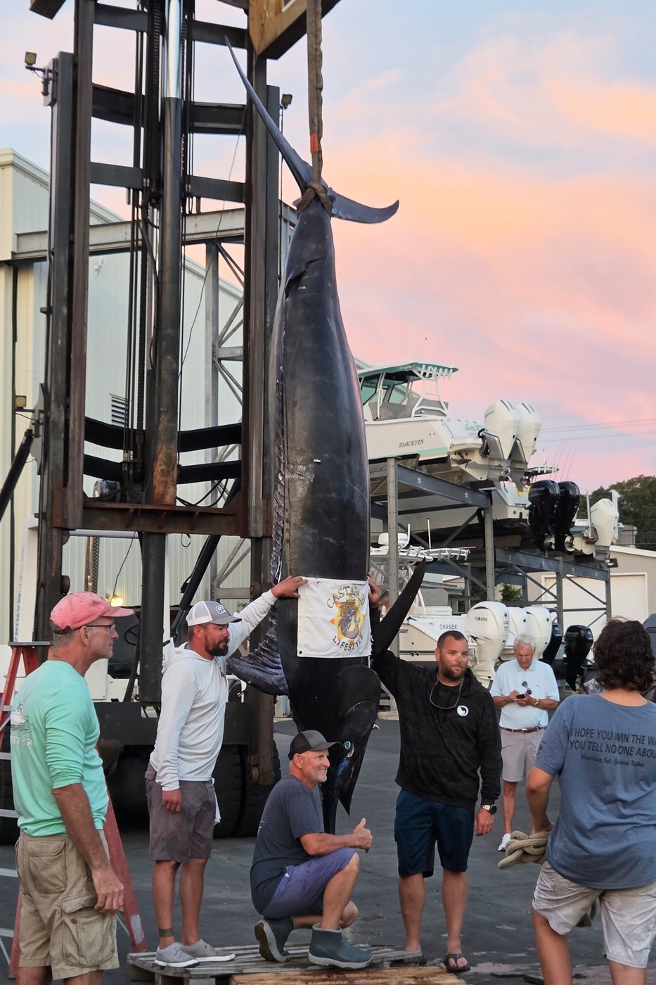 Charter boat hauls in 1,260-pound blue marlin believed to be East Coast's largest catch | iNFOnews.ca Charter boat hauls in 1,260-pound blue marlin believed to be East Coast's largest catch | iNFOnews.ca