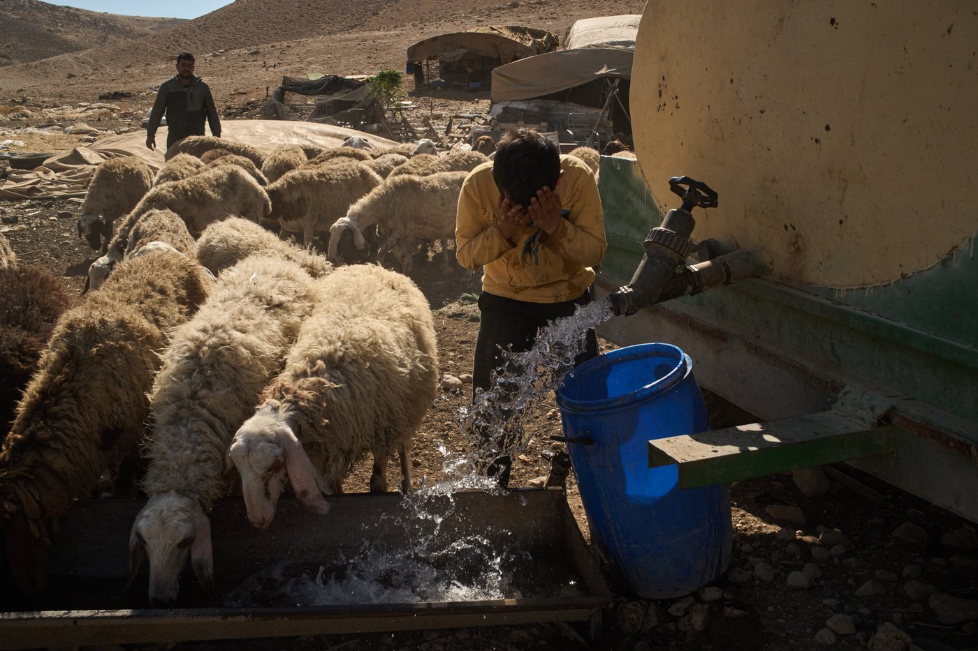 PHOTO ESSAY: Palestinian shepherds endure life alongside Israeli settler outposts | iNFOnews.ca