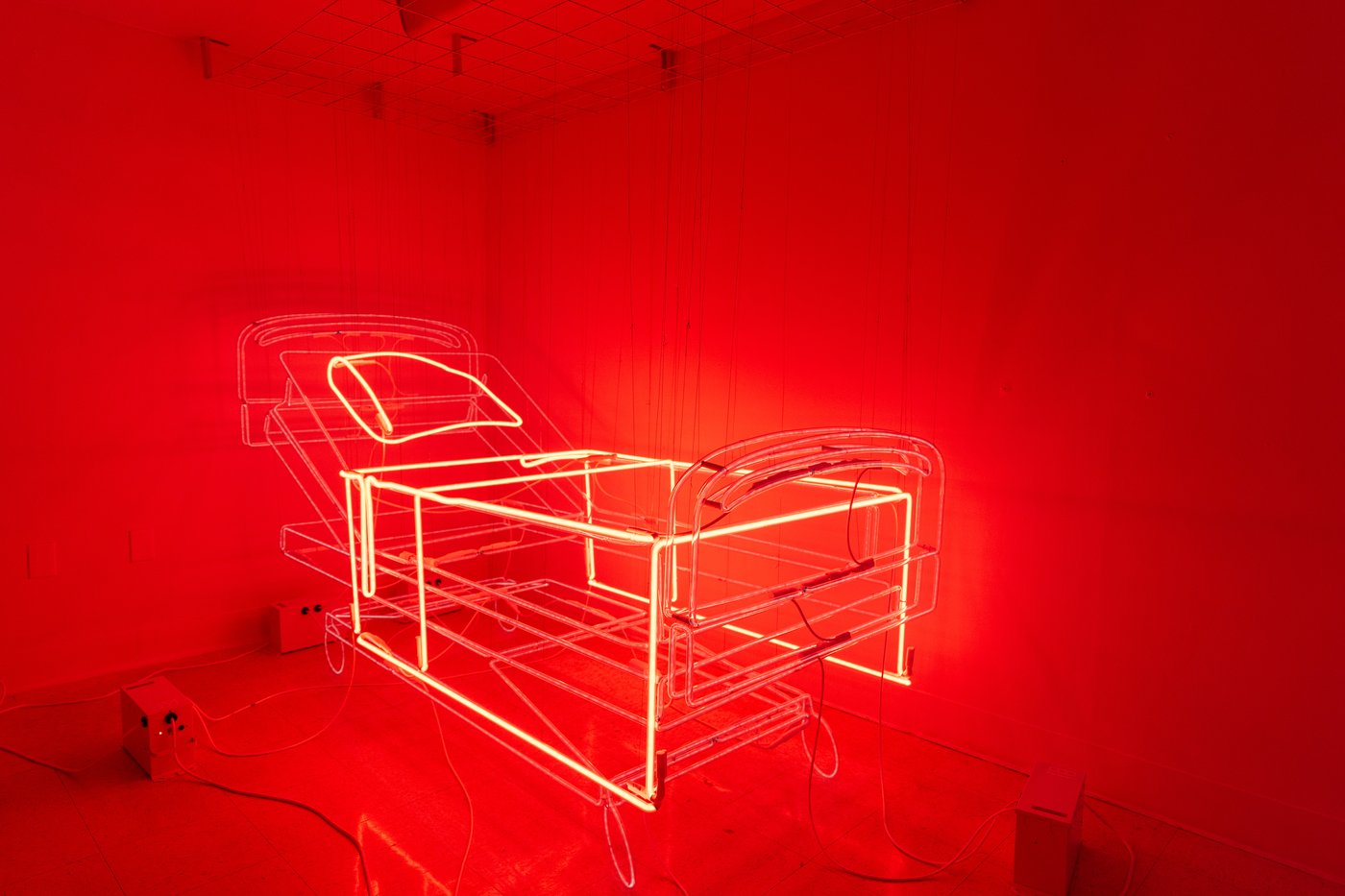 Former LA hospital hosts immersive art show, in photos | iNFOnews.ca