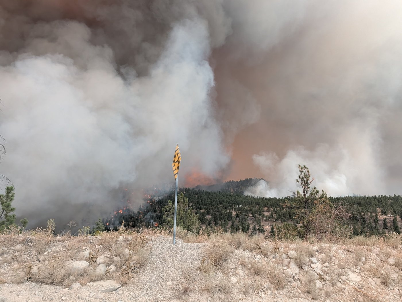 20,000 flee as explosive B.C. wildfire races toward Summerland, burning homes in path | iNFOnews.ca 20,000 flee as explosive B.C. wildfire races toward Summerland, burning homes in path | iNFOnews.ca