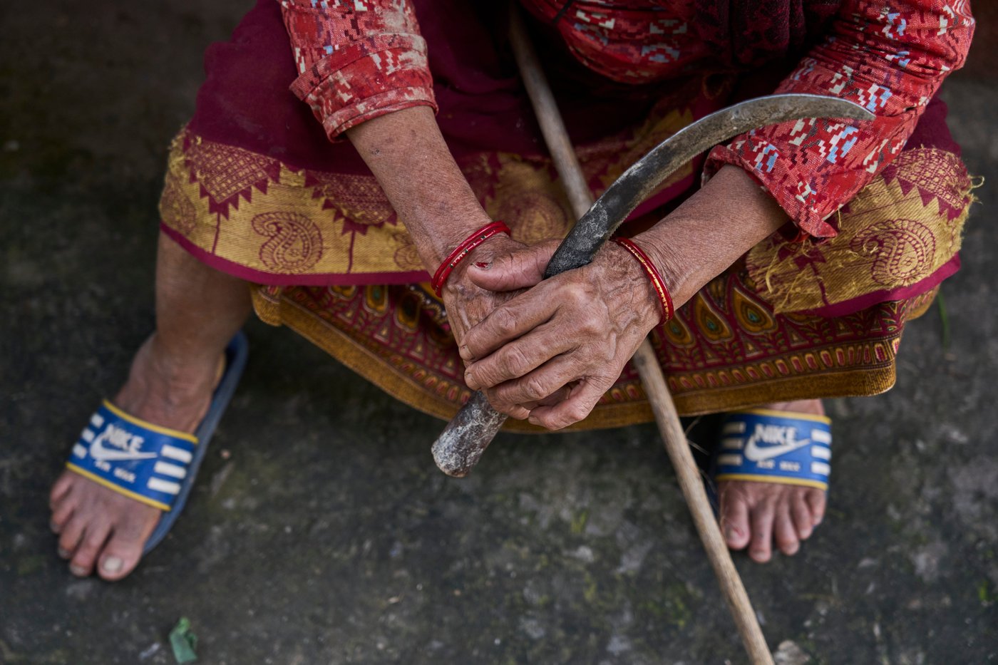 PHOTO ESSAY: Crop-raiding monkeys threaten Nepal's farming communities | iNFOnews.ca