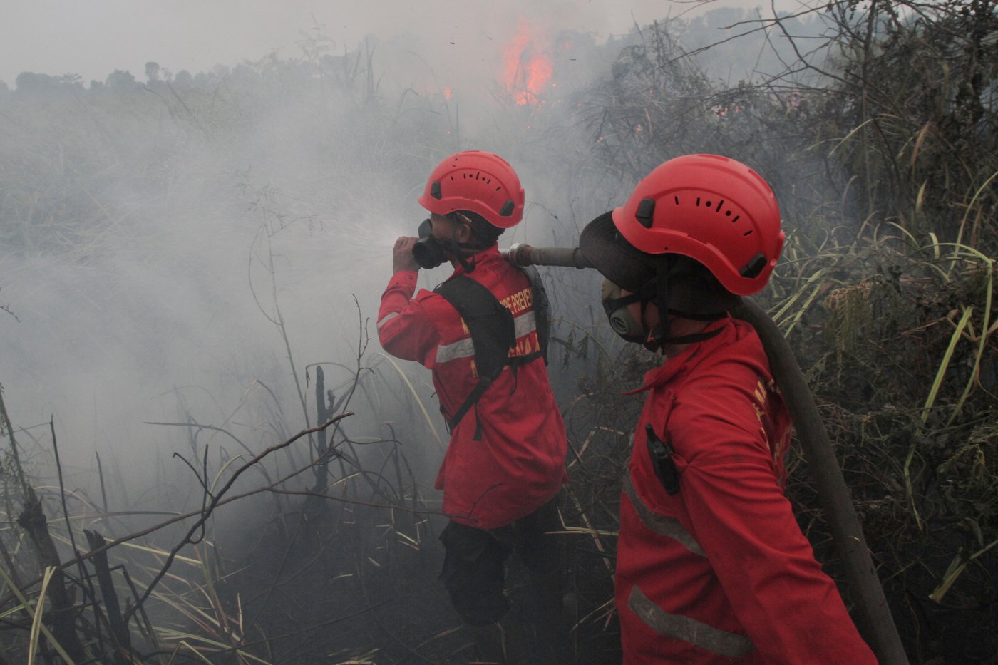 Indonesia intensifies aerial firefighting as wildfire haze spreads to Malaysia | iNFOnews.ca Indonesia intensifies aerial firefighting as wildfire haze spreads to Malaysia | iNFOnews.ca