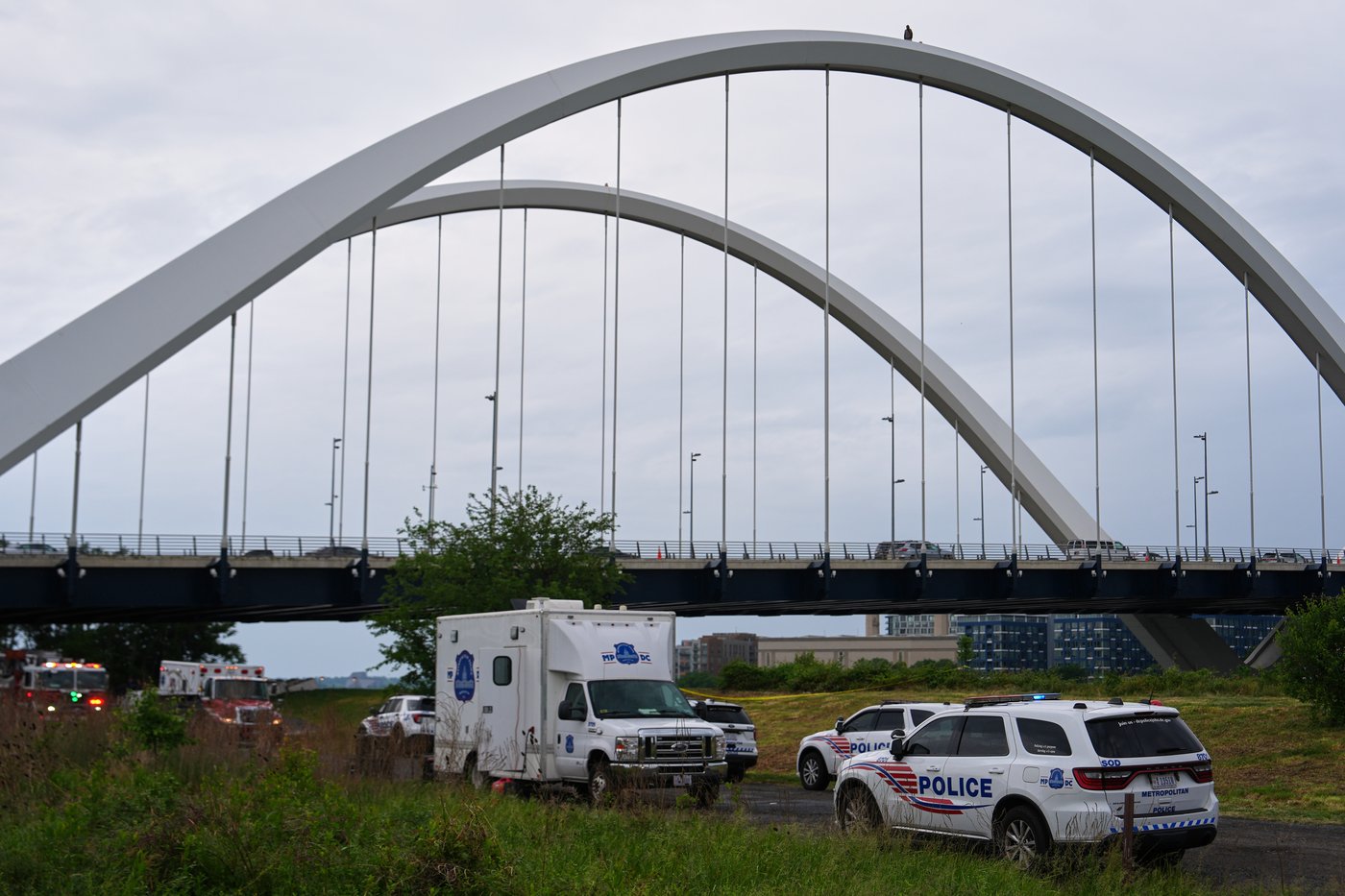 Protester comes down from atop Washington bridge ending 5-day stand against AI and Iran war | iNFOnews.ca Protester comes down from atop Washington bridge ending 5-day stand against AI and Iran war | iNFOnews.ca