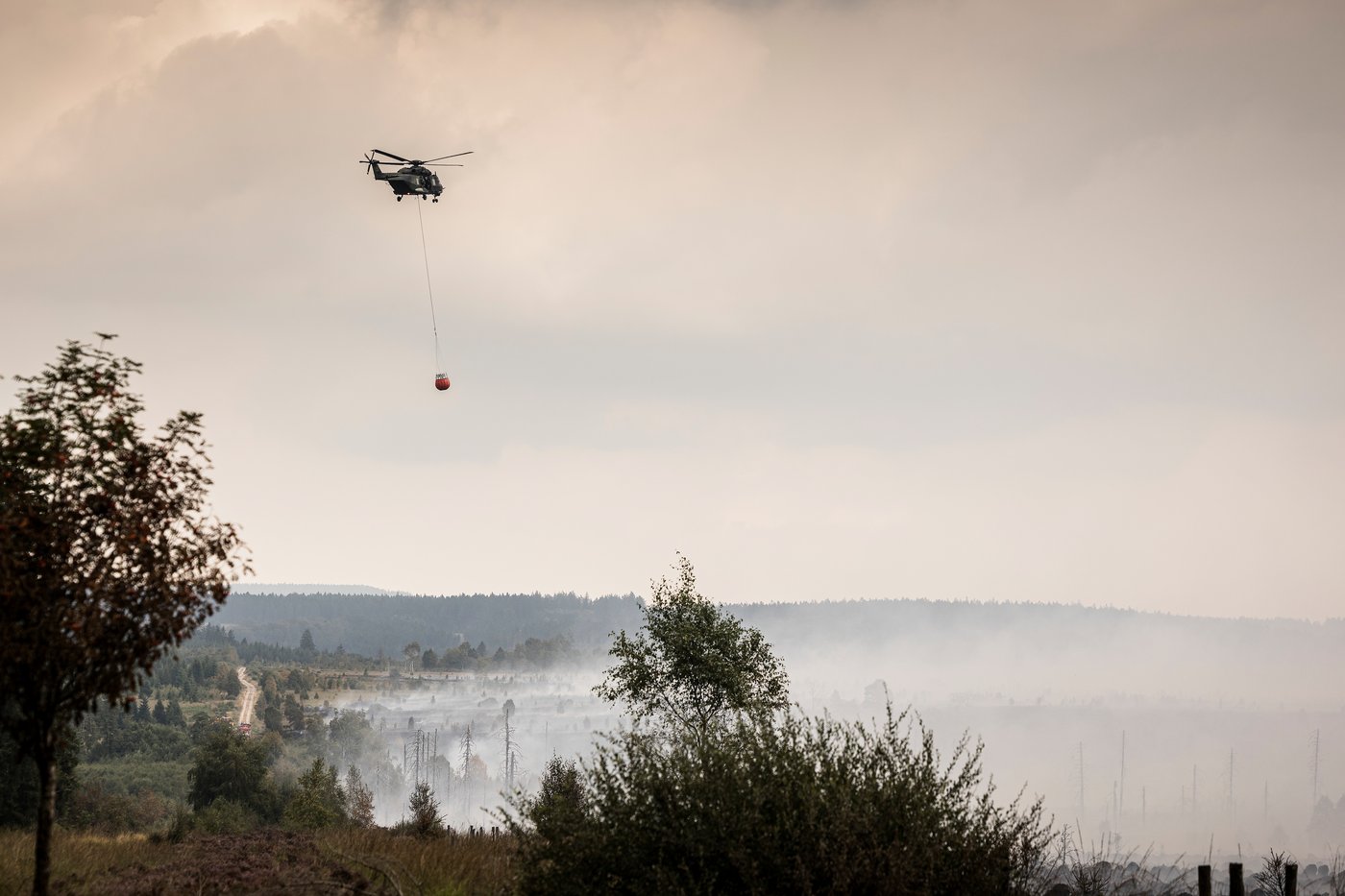 Belgian wildfire approaches Germany as Greece probes deadly blaze | iNFOnews.ca Belgian wildfire approaches Germany as Greece probes deadly blaze | iNFOnews.ca