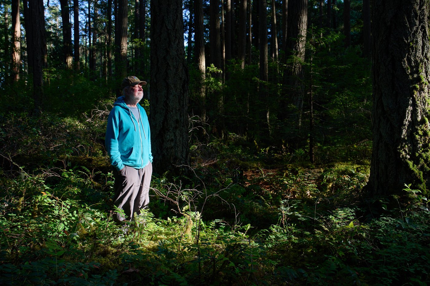 British Columbia is logging its last old growth. Protesters are sleeping in the road to stop it | iNFOnews.ca British Columbia is logging its last old growth. Protesters are sleeping in the road to stop it | iNFOnews.ca