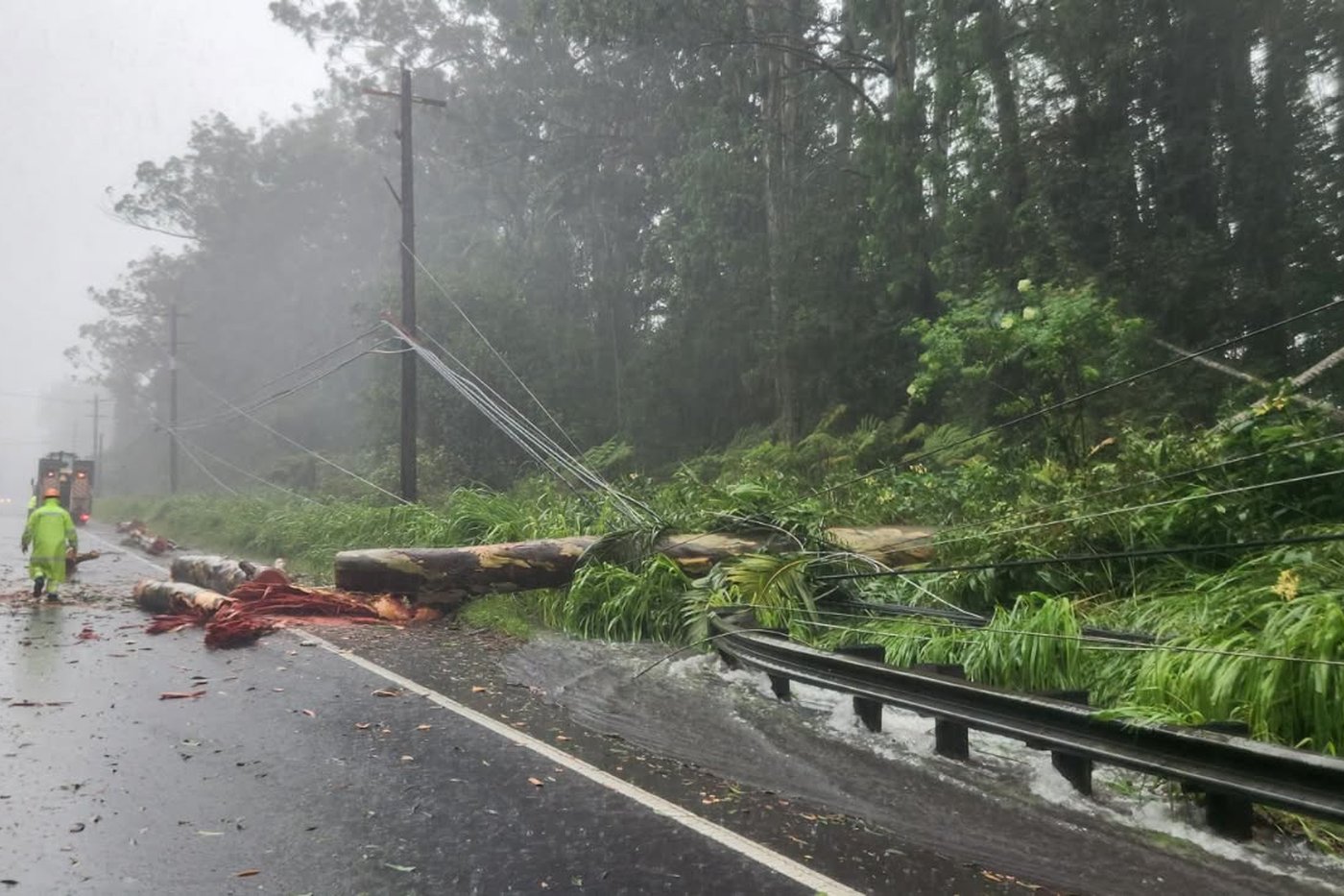 Tropical Storm Lala rakes Hawaii with high winds and rain without making landfall | iNFOnews.ca Tropical Storm Lala rakes Hawaii with high winds and rain without making landfall | iNFOnews.ca
