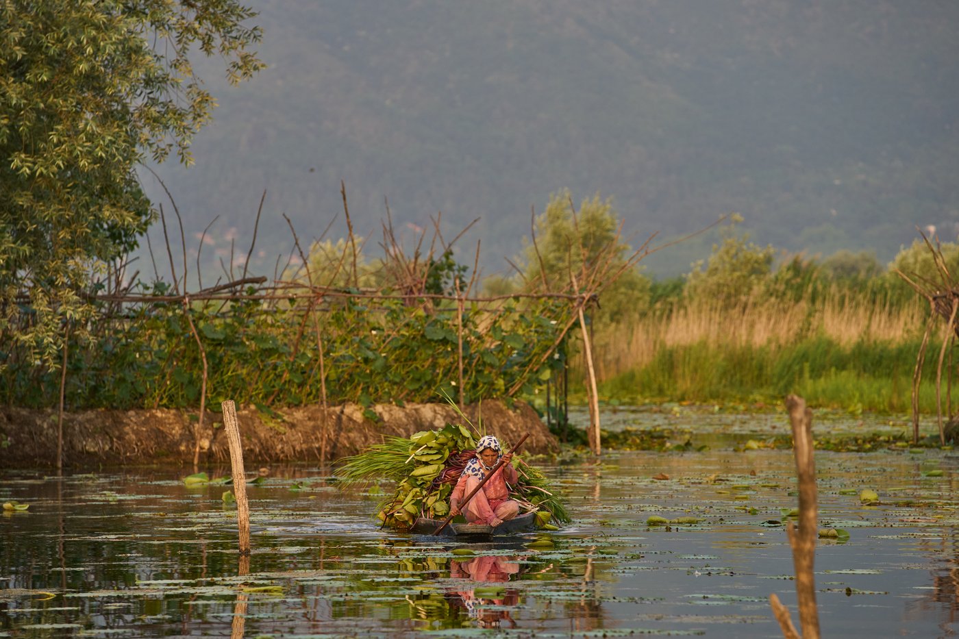 Daily life around the world, in photos | iNFOnews.ca