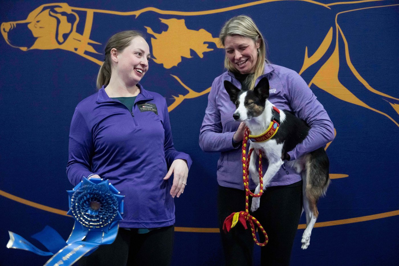 Photo Gallery: The Westminster dog show | iNFOnews.ca